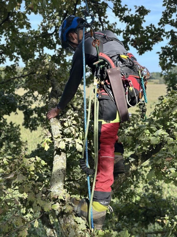 Etui en cuir - Scie droite